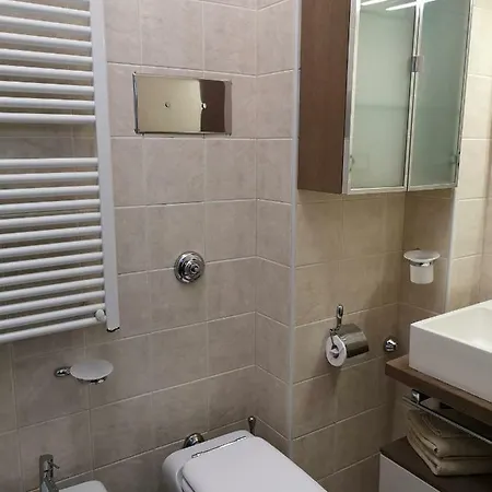 Ca' Petrona البندقية